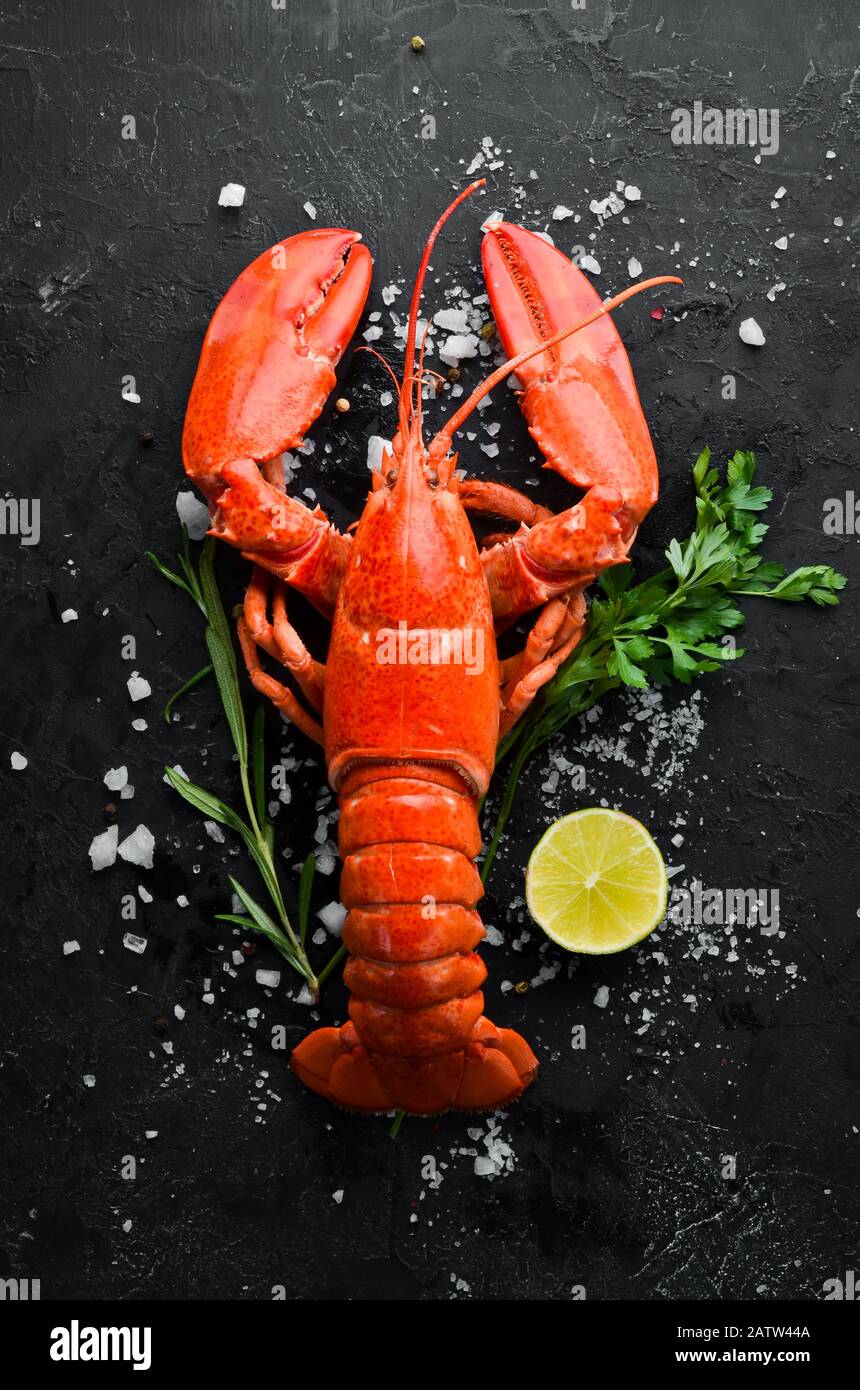 Lobster with spices on a dark background. Top view. Free copy space. Stock Photo