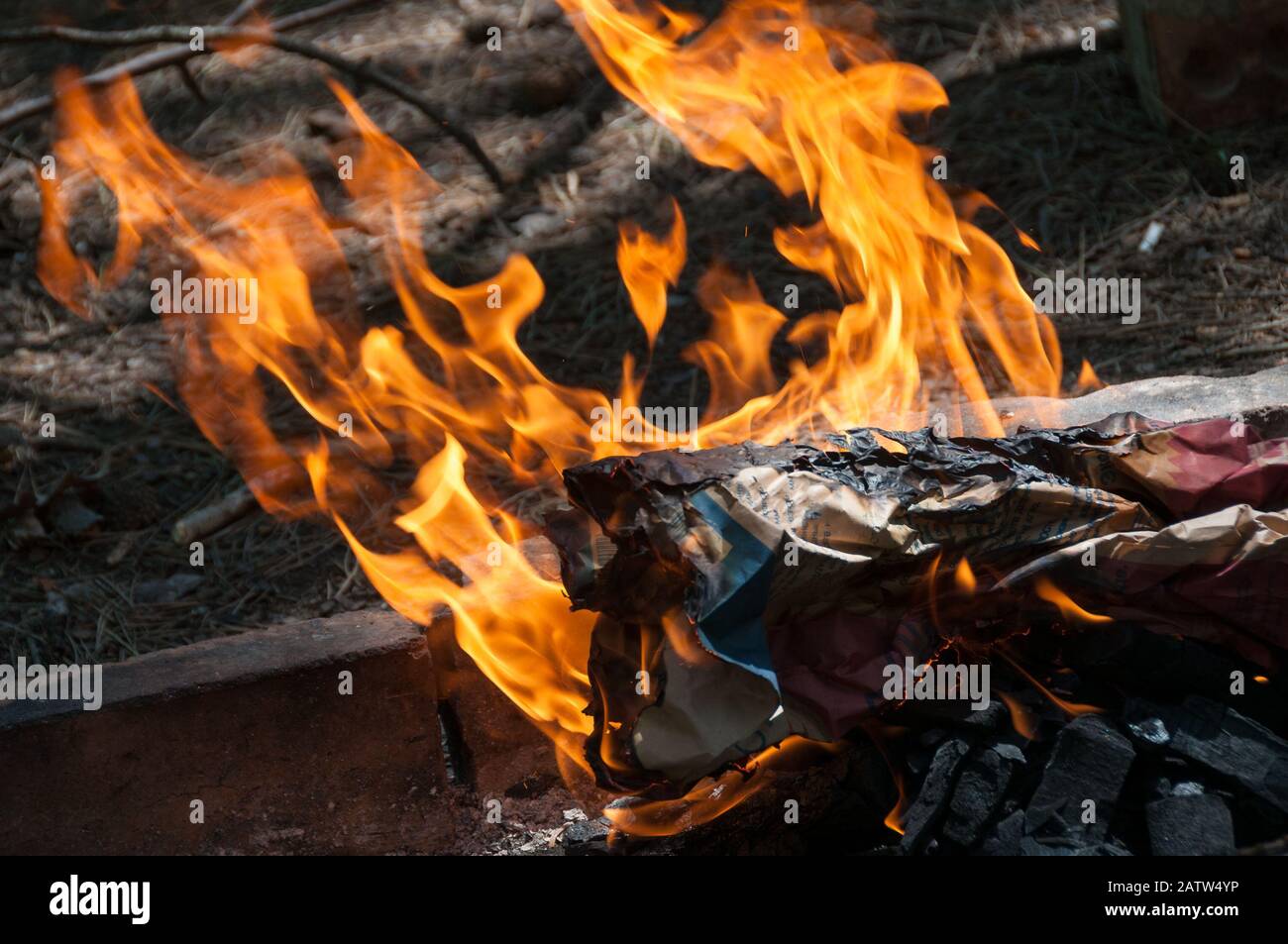 Close up of open flame of campfire, burning timber fire. Flame ...