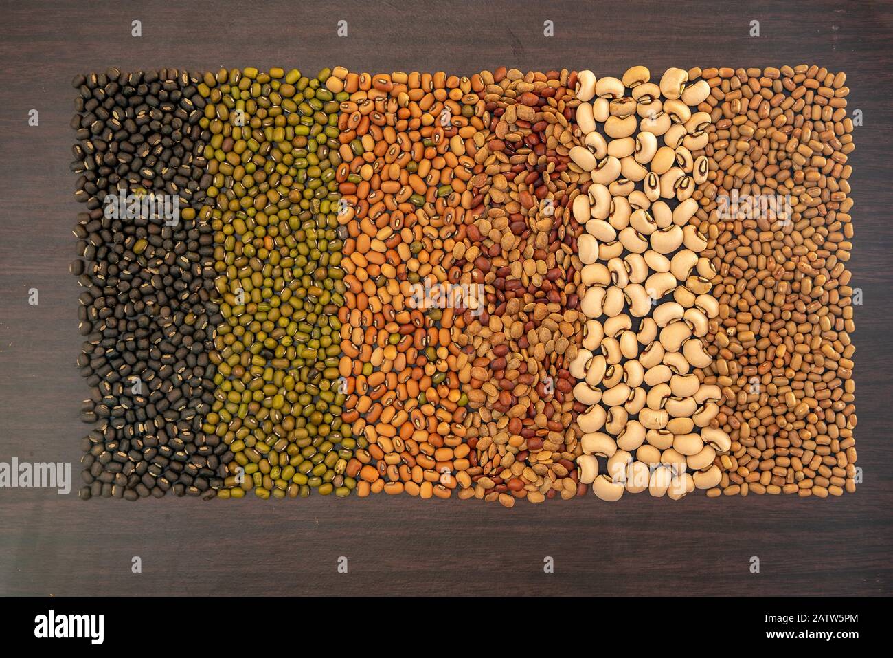 Lentils, Beans, Grams (Lens culinaris or Lens esculenta) are edible legumes. split lentils known as daal are often coooked into thick gravvy. Stock Photo