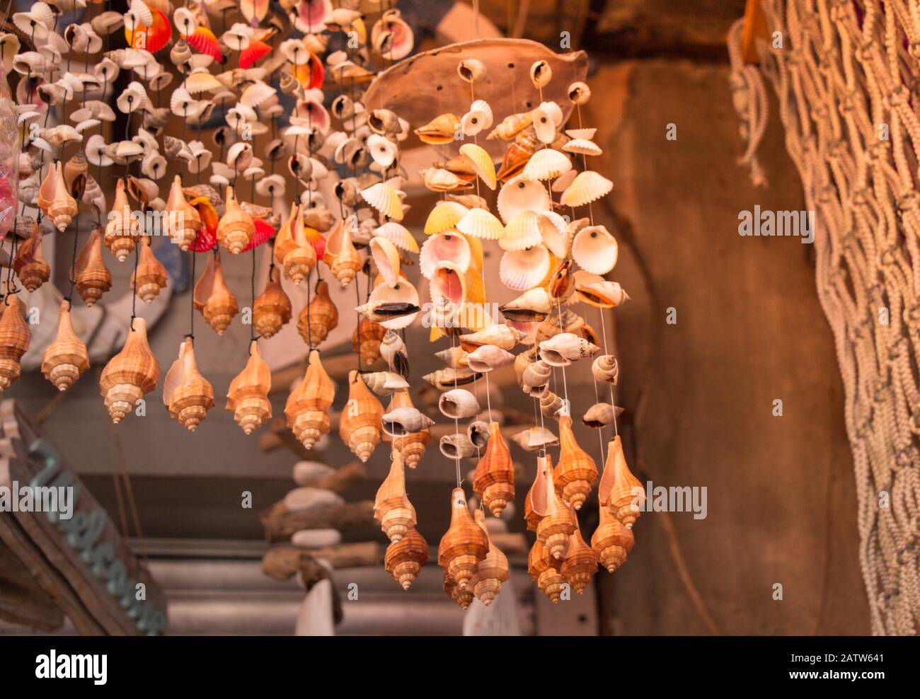 Home decorations made from different shape and color seashells Stock Photo
