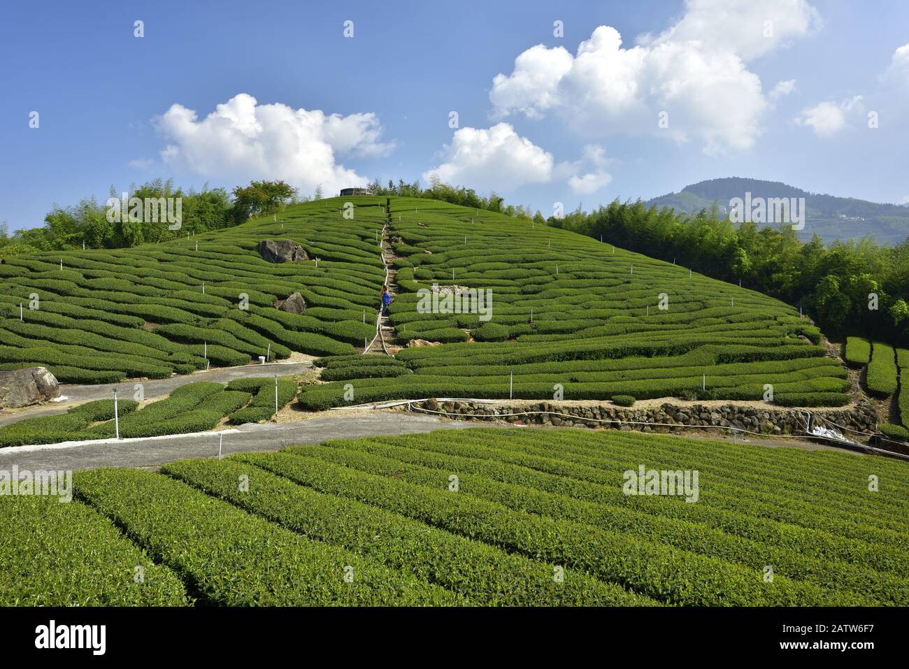Stone table tea garden hi-res stock photography and images - Alamy