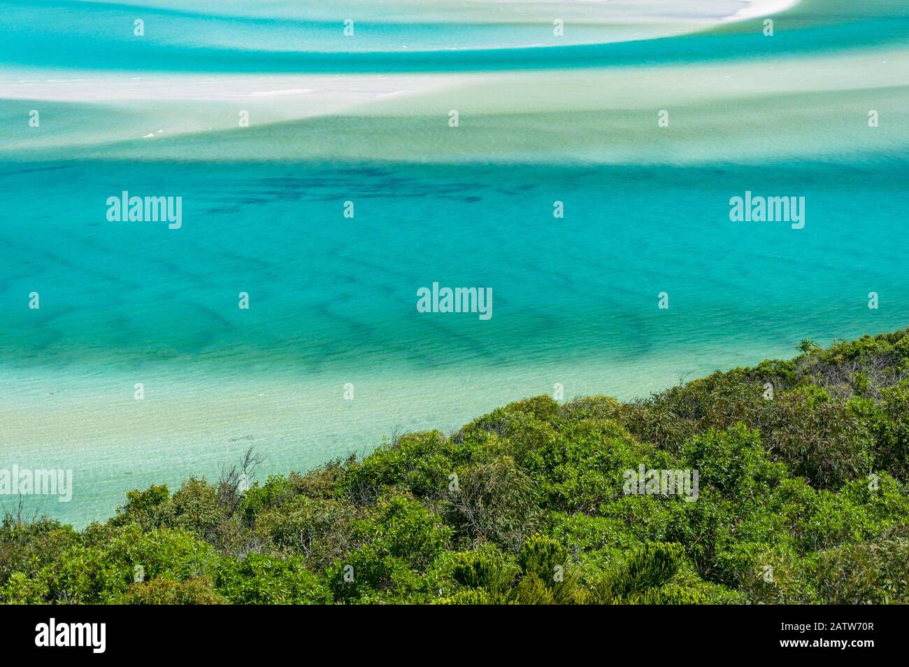 Background summer tropical plants hi-res stock photography and images ...
