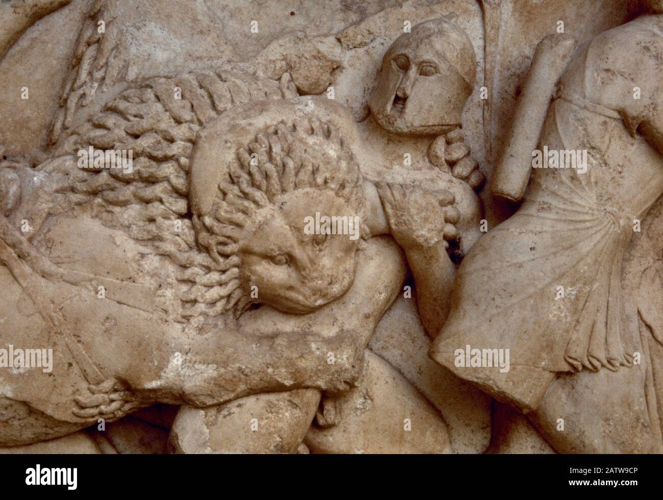 Siphnian Treasury, ca. 525 BC. Marble of Paros. North frieze depicting a Gigantomachy. A lion biting a giant. Archaeological Museum of Delphi, Greece. Stock Photo