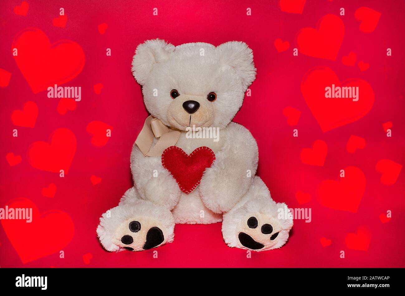 White teddy bear with a handmade heart on a red background with ...