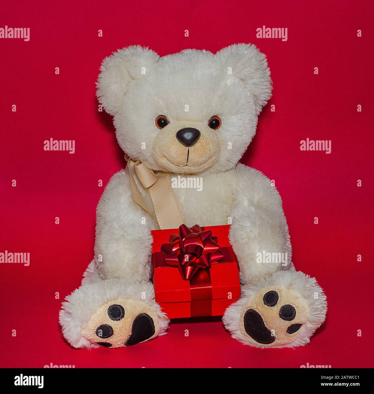white teddy bear valentines day