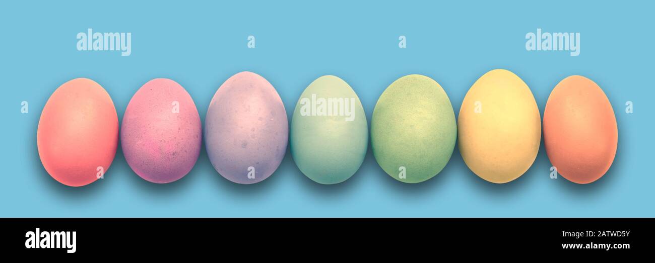 Pastel painted Easter eggs aligned in a row on blue panoramic background, Easter web banner Stock Photo