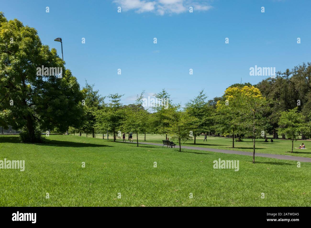 Summertime in Fawkner Park, Melbourne, Australia Stock Photo Alamy