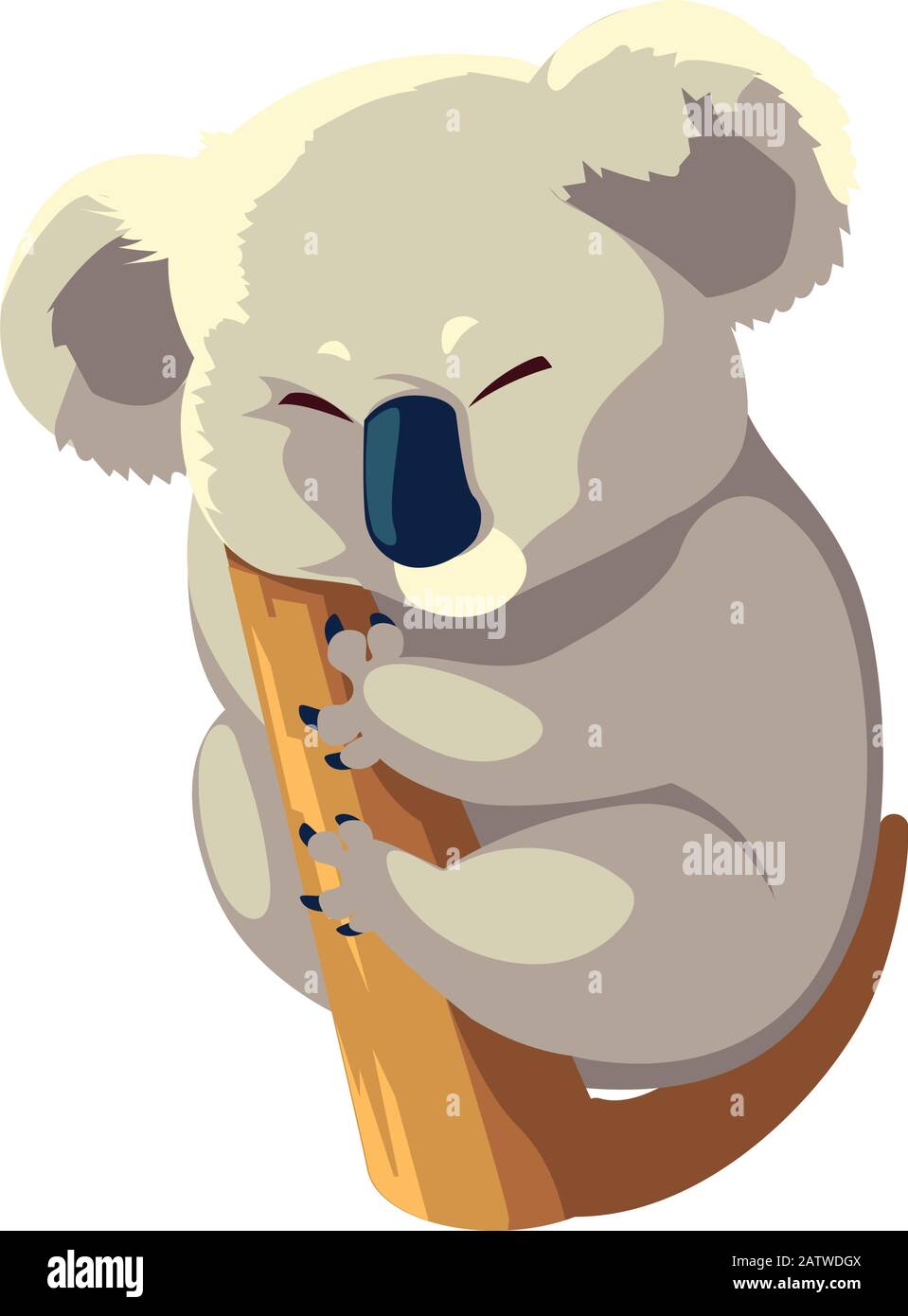 cute australian Koala on a tree on white background vector illustration ...