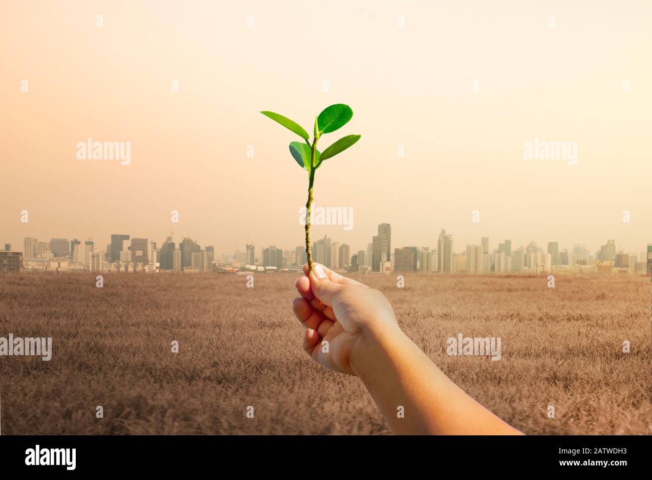 Raise hands with trees, with the background of many large building. Global warming and pollution theme .Conceptual image symbolizing  global warming l Stock Photo