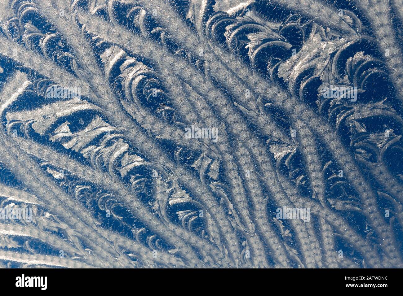 frost pattern on the glass Stock Photo
