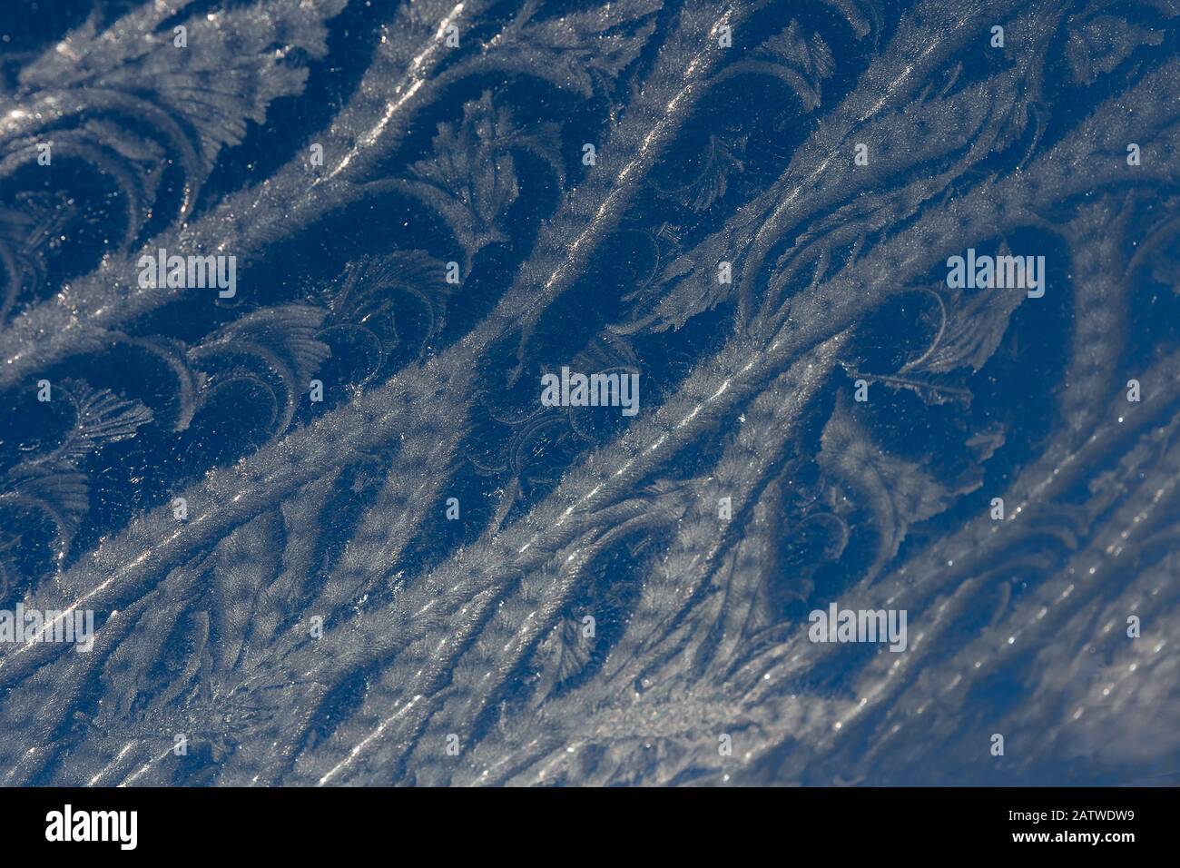 frost pattern on the glass Stock Photo