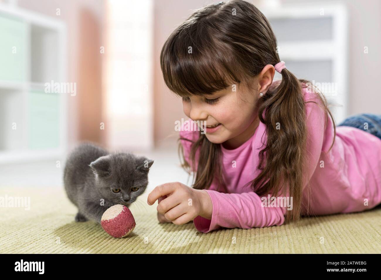 Girl with two cats and a kitten hires stock photography and images Alamy