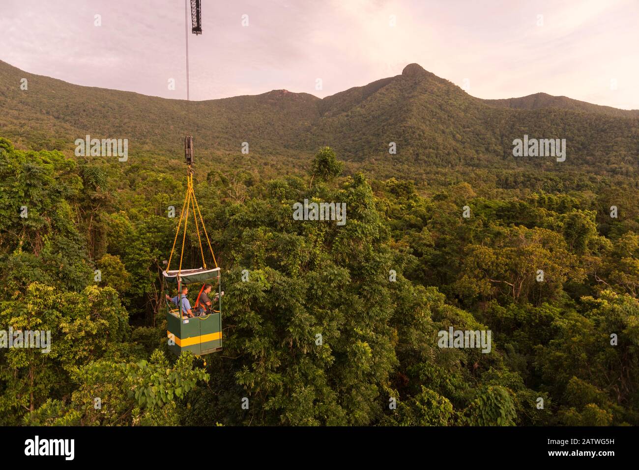 Scientists studying response to wet-dry seasonal transition in rainforest trees, in basket lifted by crane. Daintree rainforest observatory, Queensland, Australia. February 2015 Stock Photo