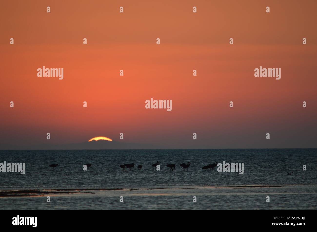 Sunset, sunrise Stock Photo