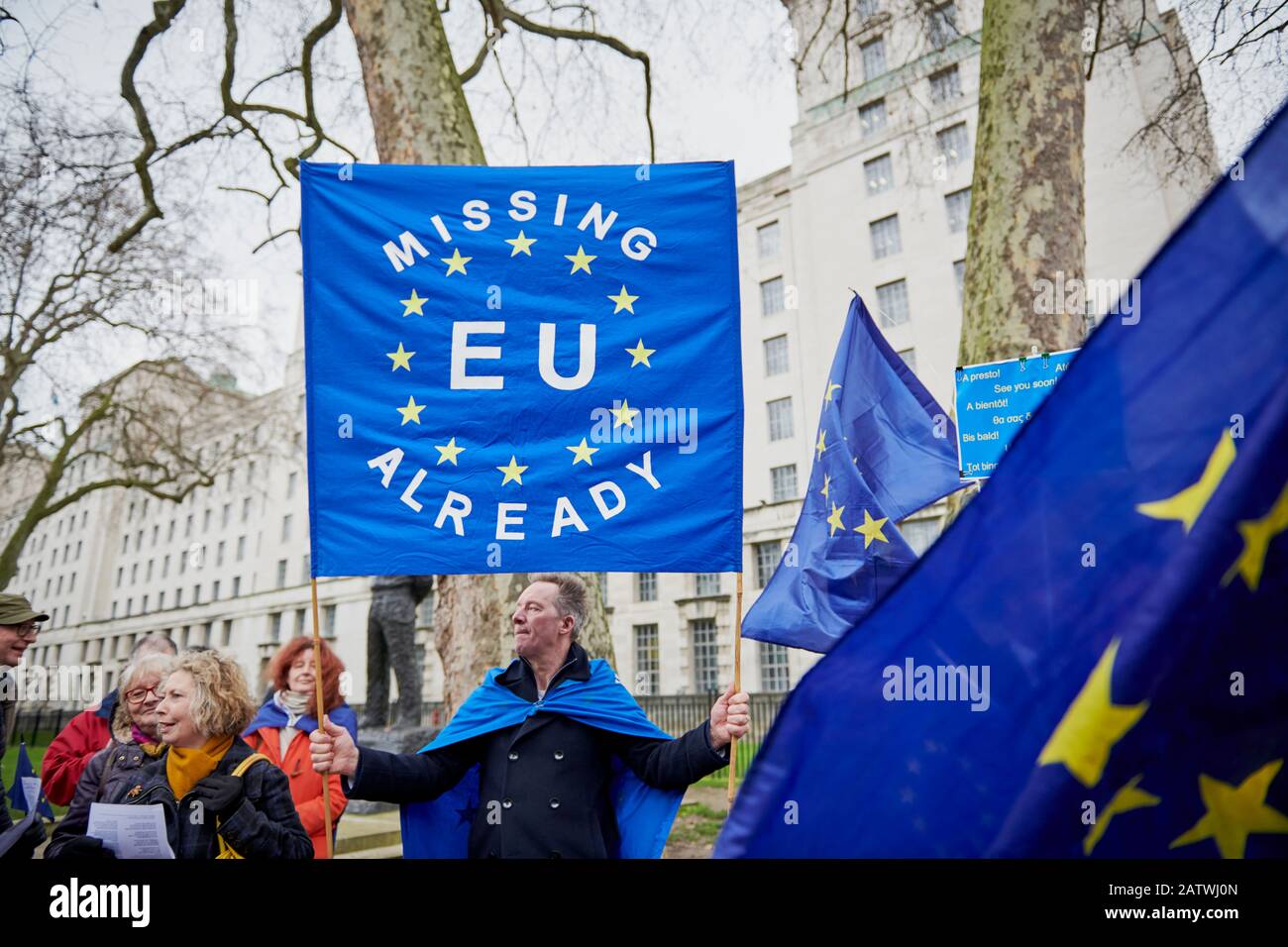 Brexit, as it happens. Remainer/Pro EU Stock Photo