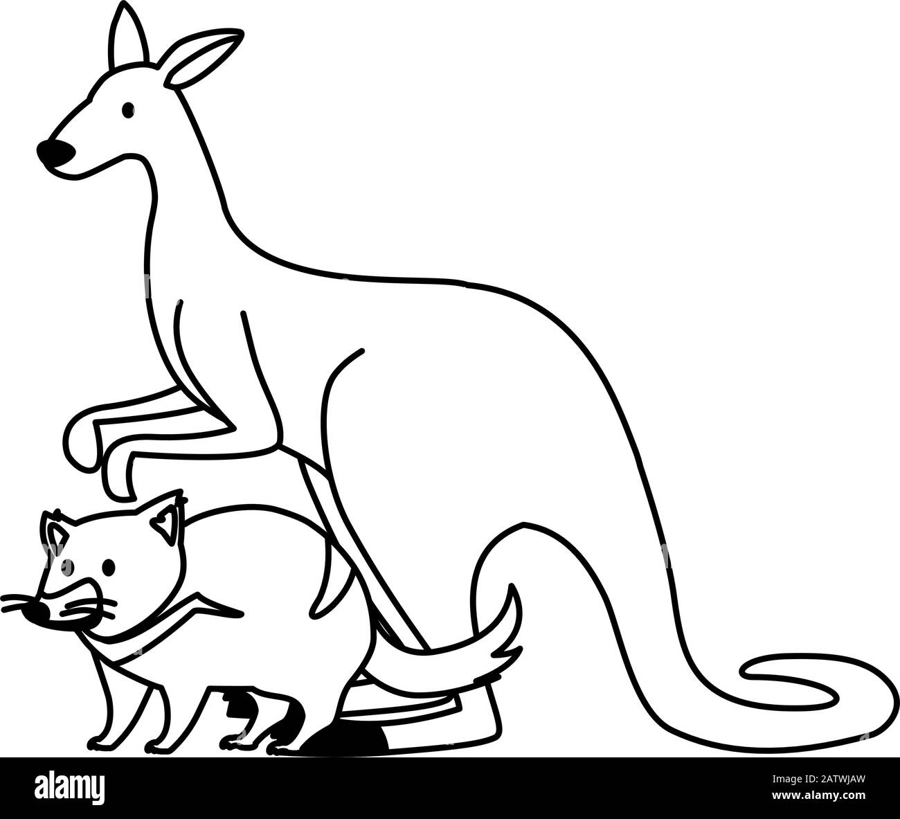 kangaroo and tasmanian devil on white background vector illustration ...
