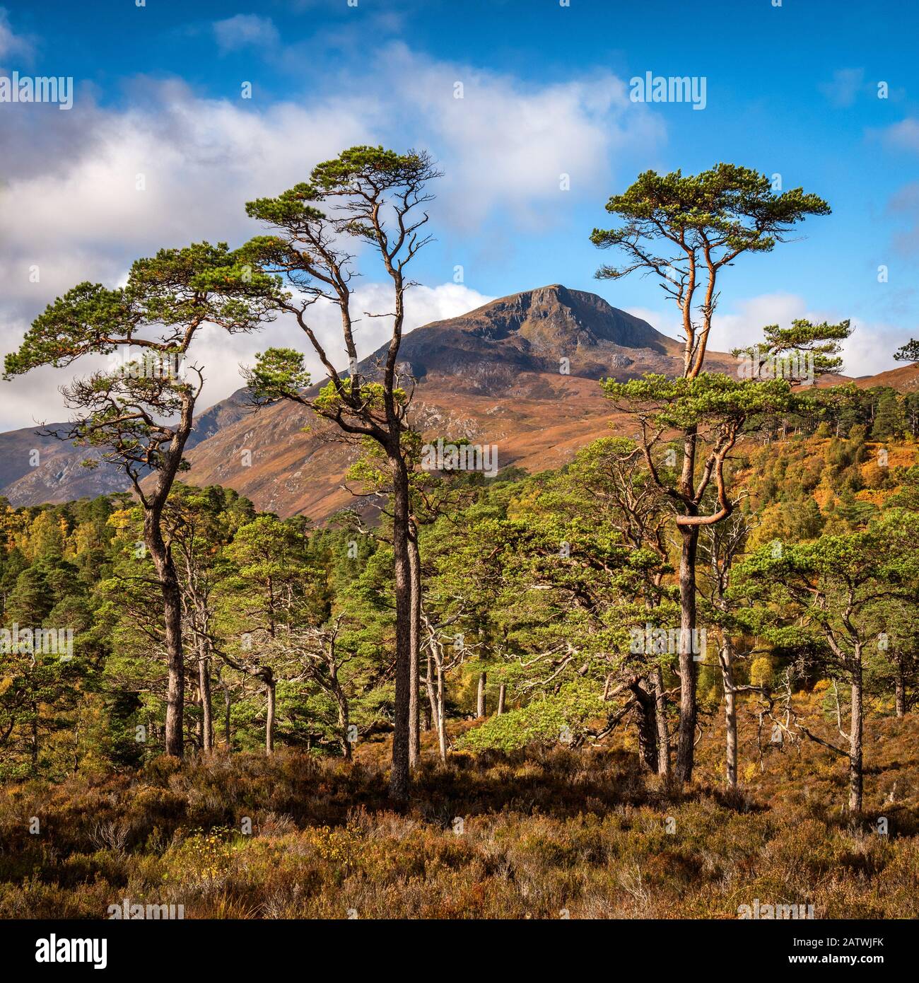 Sgurr na Lapaich (1036m) in Glen Affric  It is perhaps the most beautiful glen in Scotland with a stunning combinations of lochs and pines and mountai Stock Photo