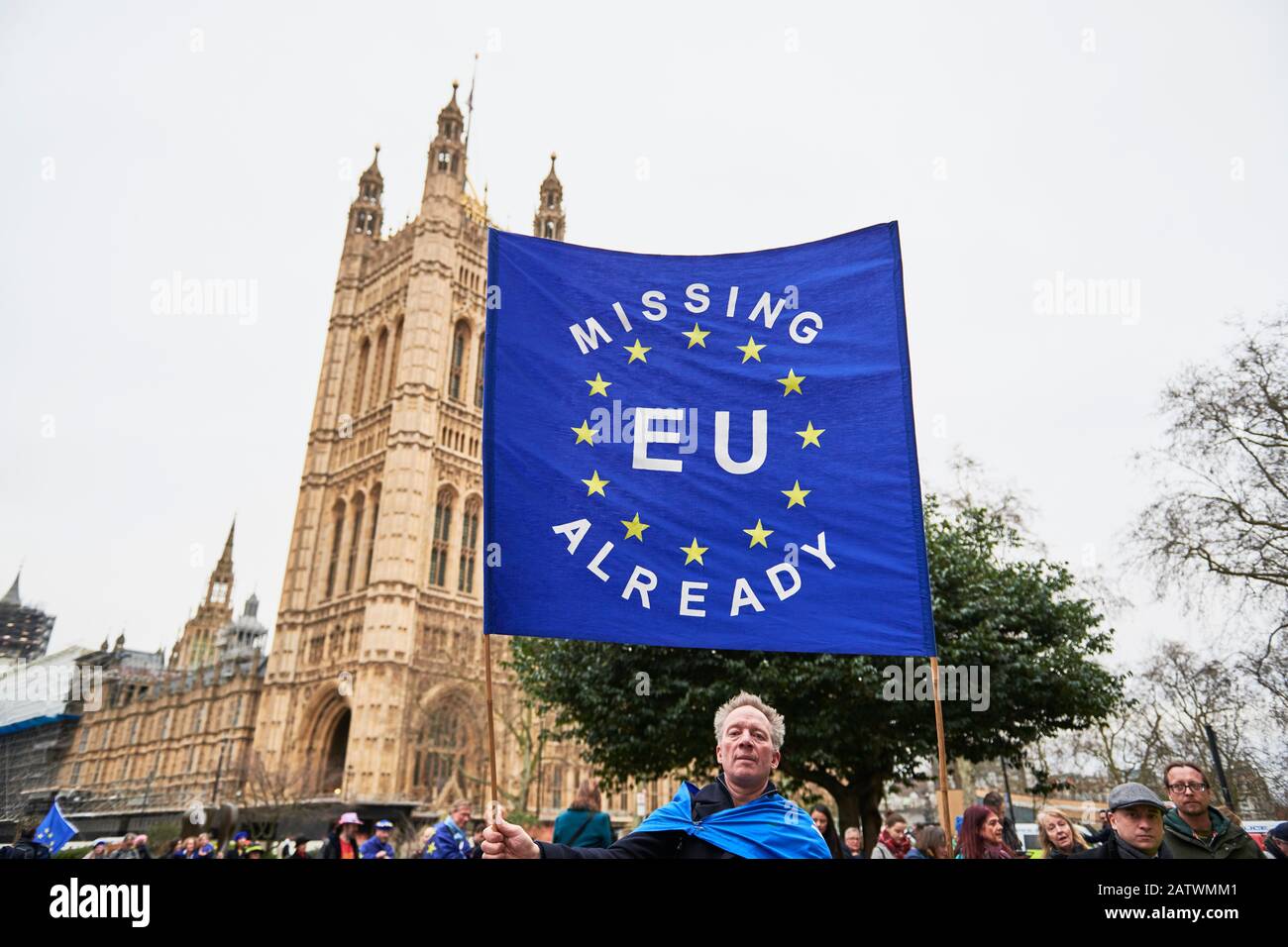 Brexit, as it happens. Remainer/Pro EU Stock Photo