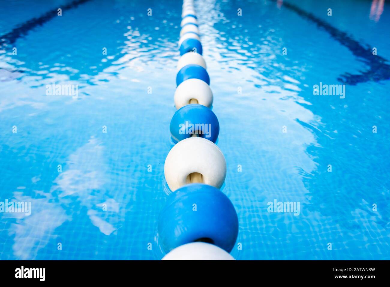 Background of a sports swimming pool, with no one Stock Photo - Alamy