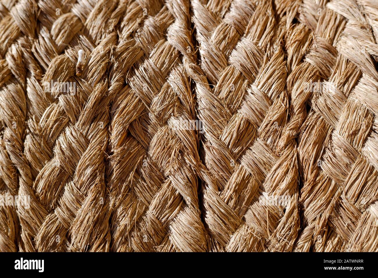 Detail of the texture of intertwined natural fibers of esparto, halfah