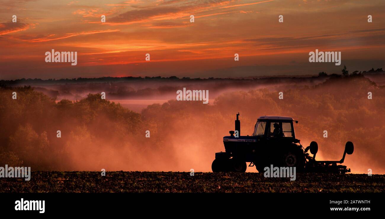 Tractor preparing land at sunset. Perry Green, Much Hadham UK. Stock Photo