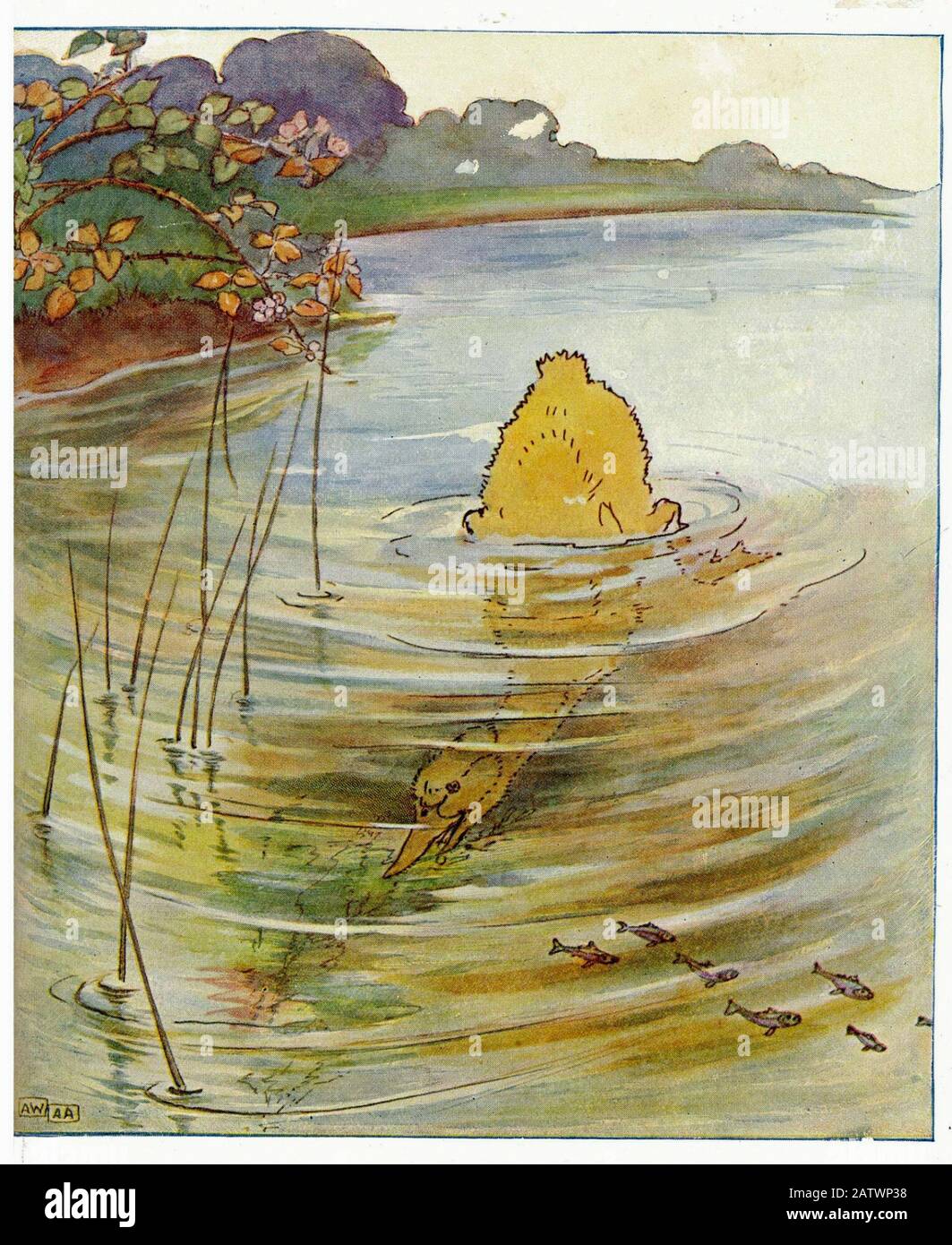 The Daring Duckie Book 1915 -  Illustration by Anne Anderson (1874 - 1930) Stock Photo