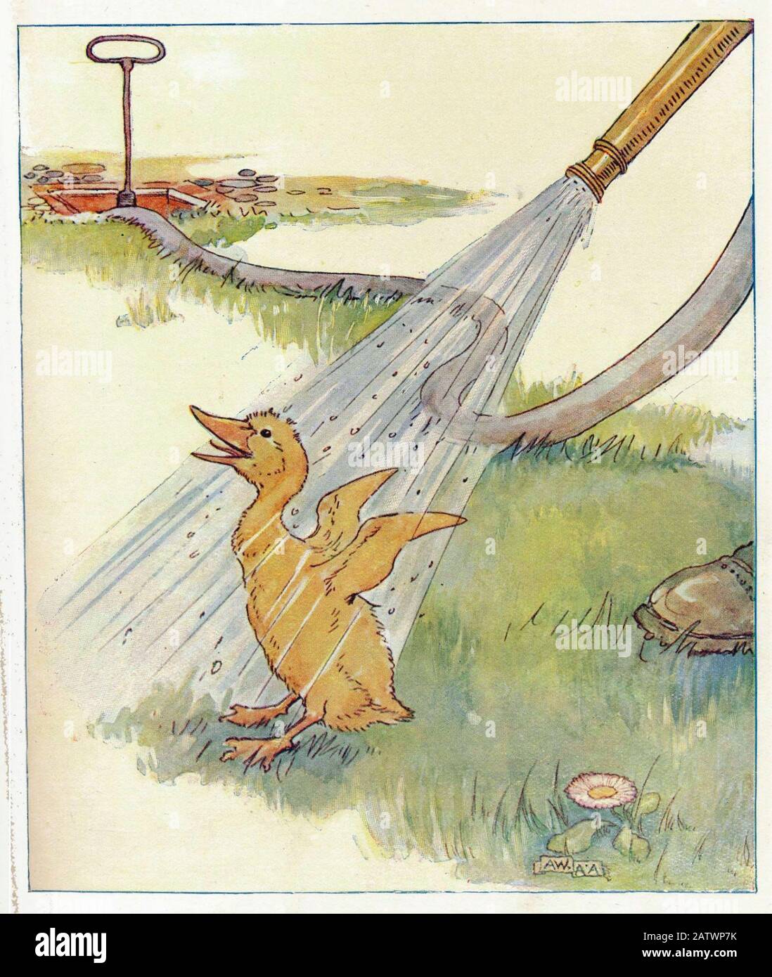 The Daring Duckie Book 1915  -  Illustration by Anne Anderson (1874 - 1930) Stock Photo