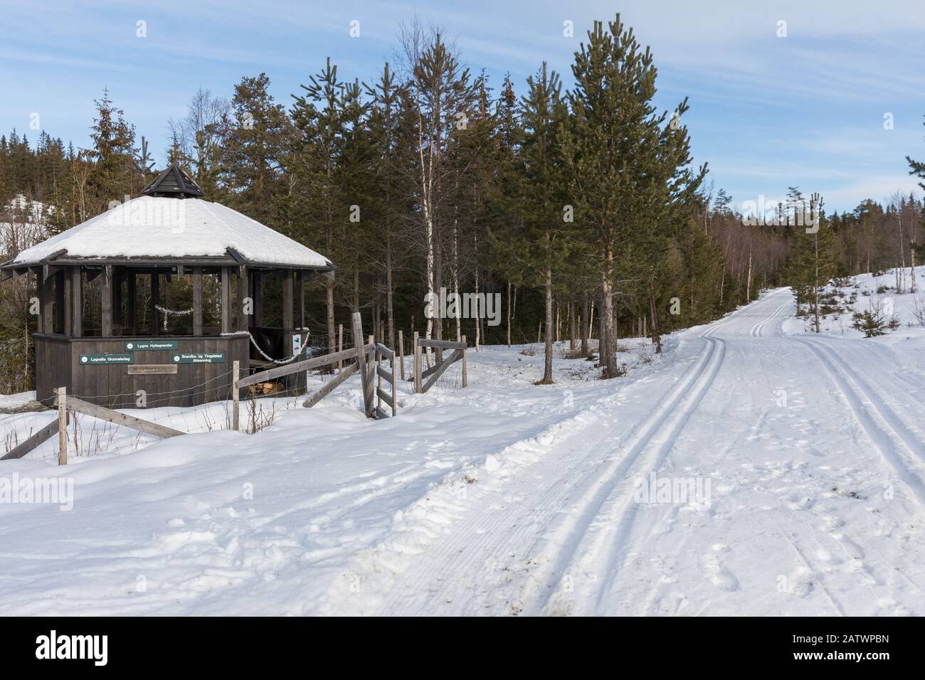 Cross country ski tracks in Norway Stock Photo