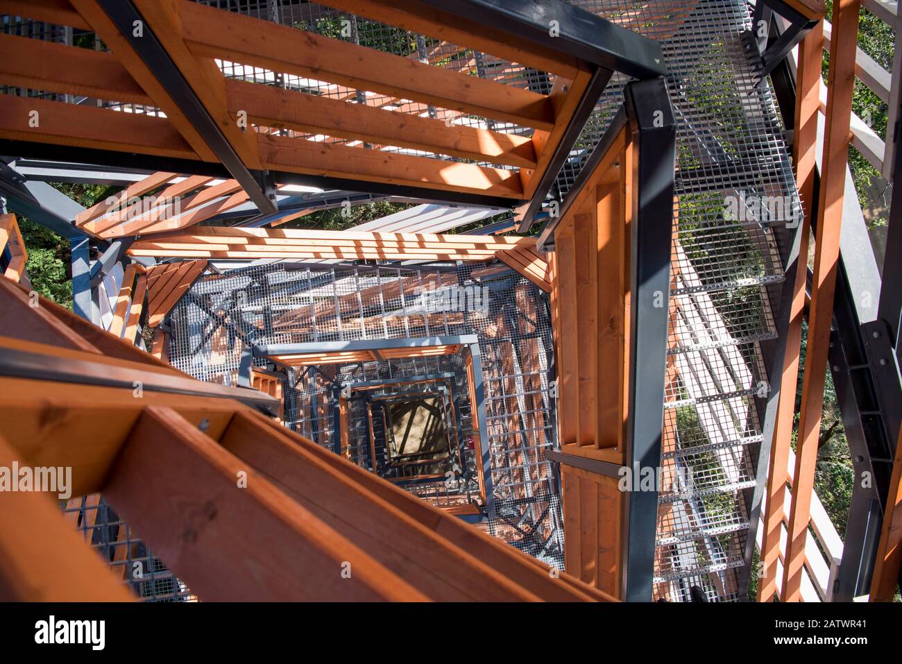 Tall wooden & metal lookout tower in forest. Sunny summer day Stock ...