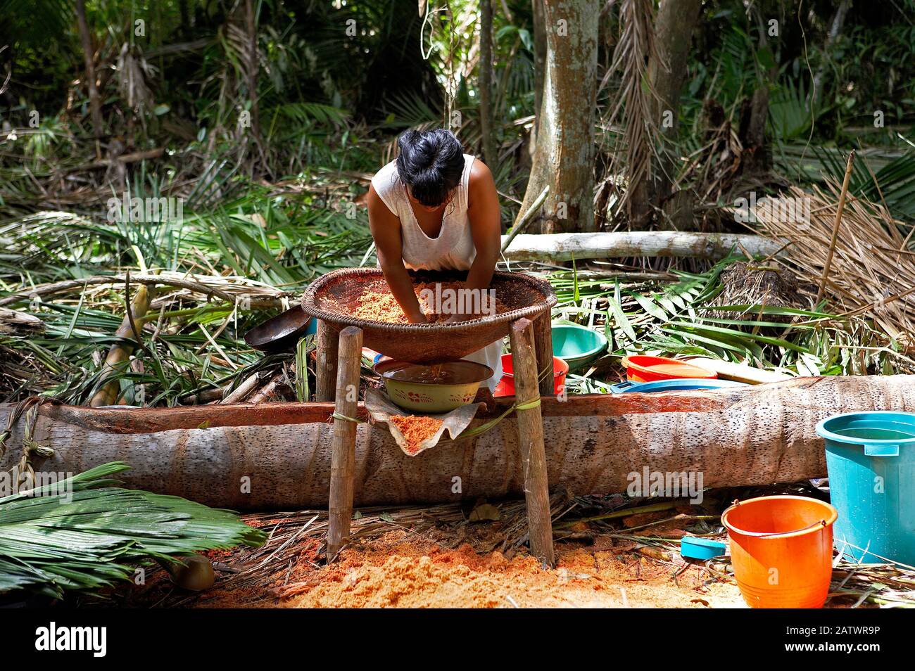 Warao Woman doing Bread with Flour made from Palmtree, mauritia flexulosa, Indians living in Orinoco Delta, Venezuela Stock Photo