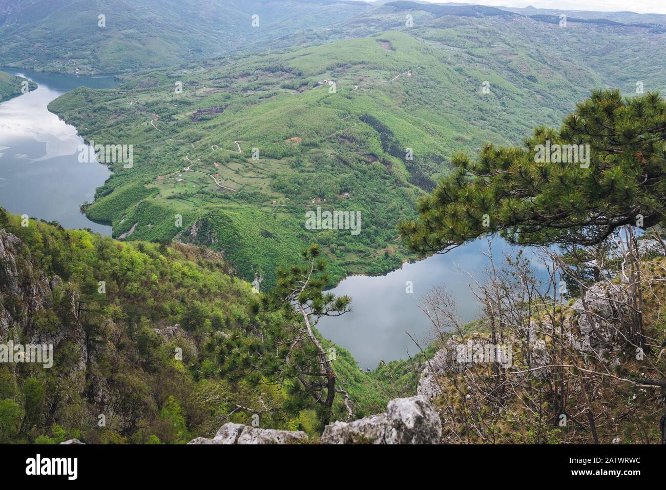 Landscape on Tara mountain Stock Photo