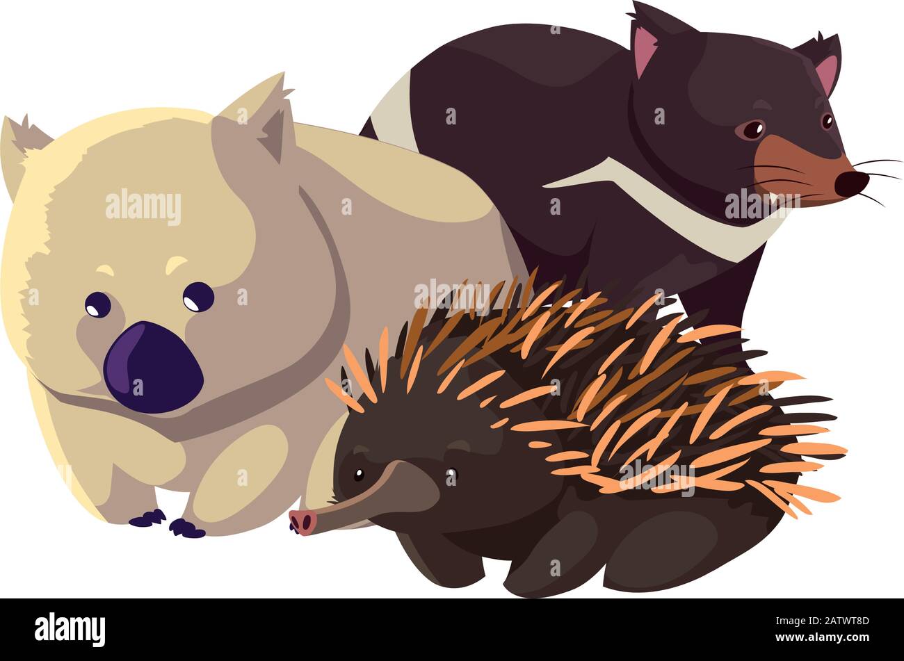 Wombat australian fauna on Stock Vector Images - Alamy