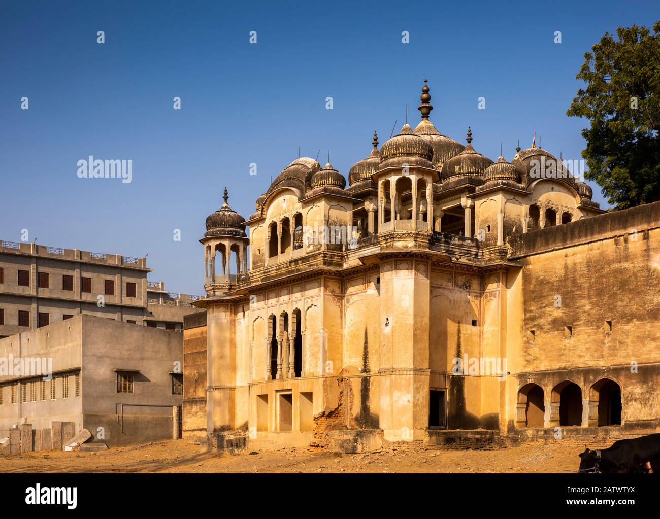 India, Rajasthan, Shekhawati, Dundlod, Jagathia Haveli, Chhatri adjoining historic property Stock Photo
