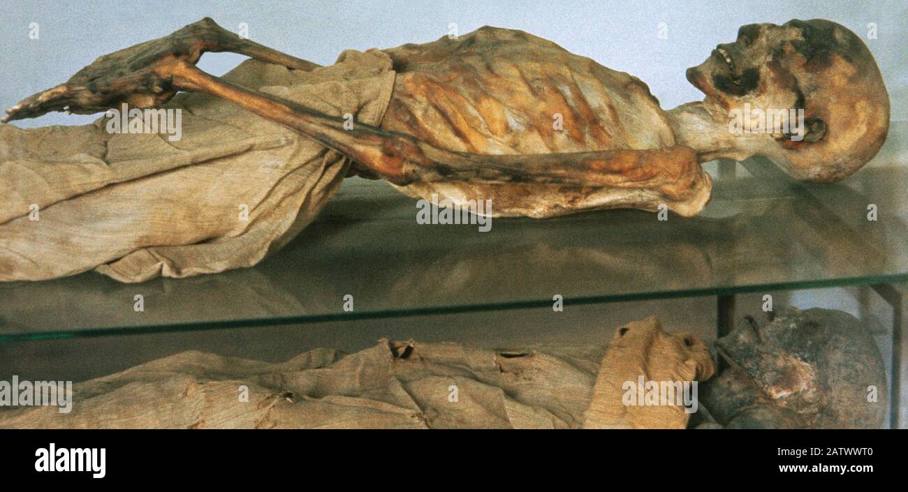 Egyptian mummy belonging to a member of the royal house. Tomb of Nebera. 18th Dynasty. Egyptian Museum. Turin, Italy. Stock Photo
