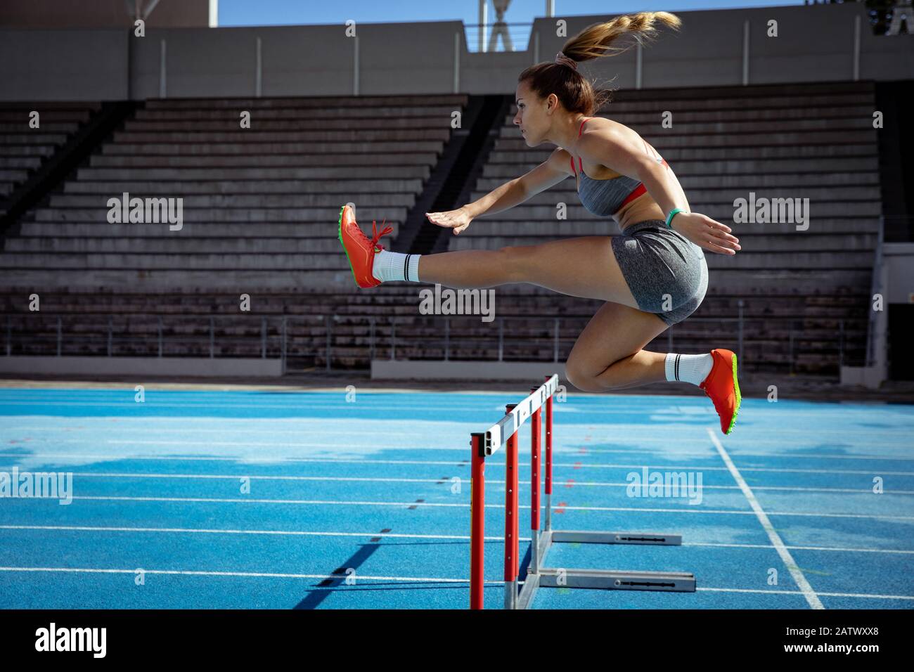 Stadium jumping hires stock photography and images Alamy