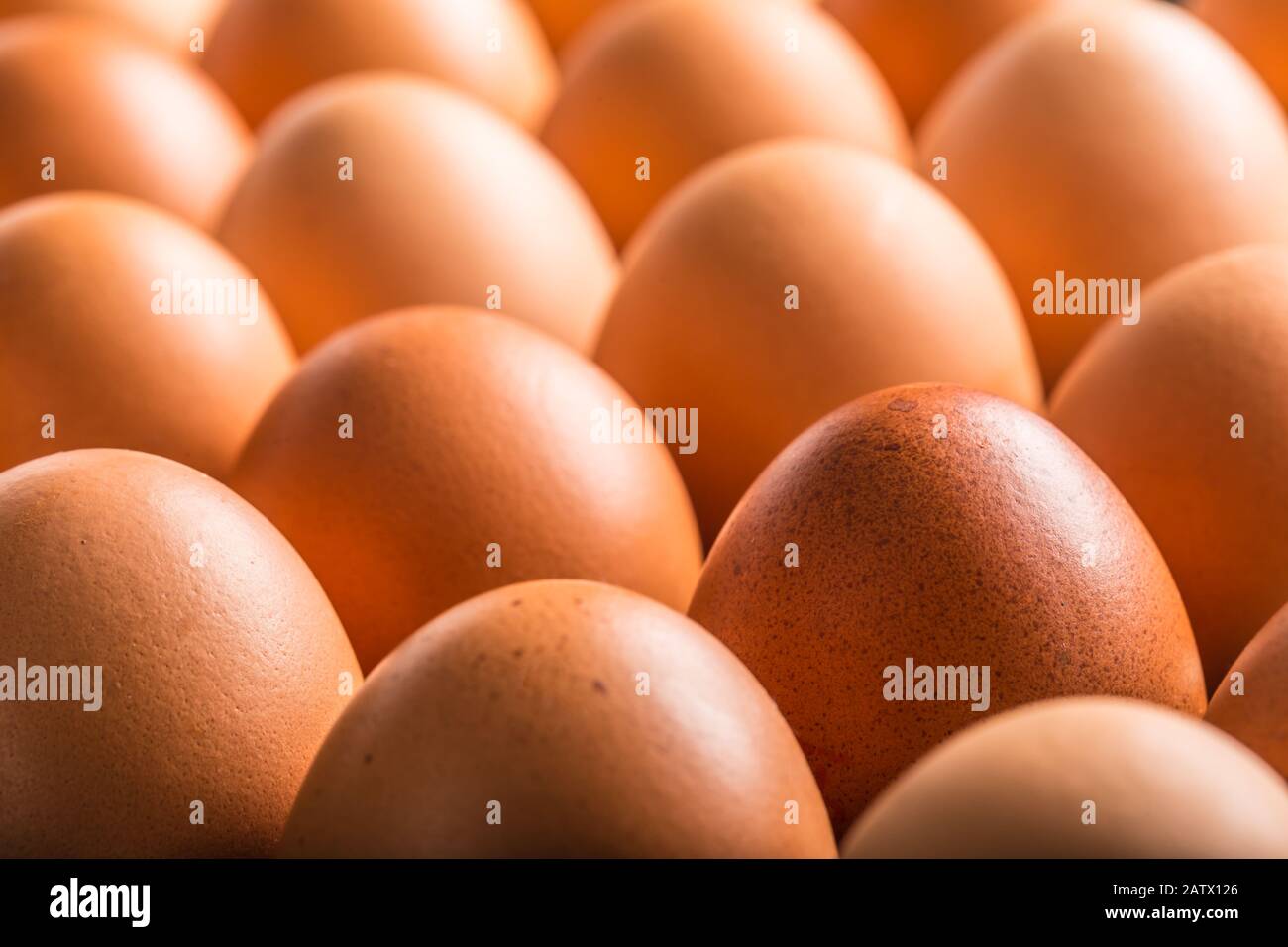 Chicken eggs in carton box Close up Stock Photo Alamy