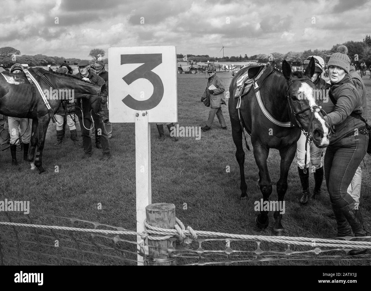 point to point horse jumping races cornwall Stock Photo Alamy