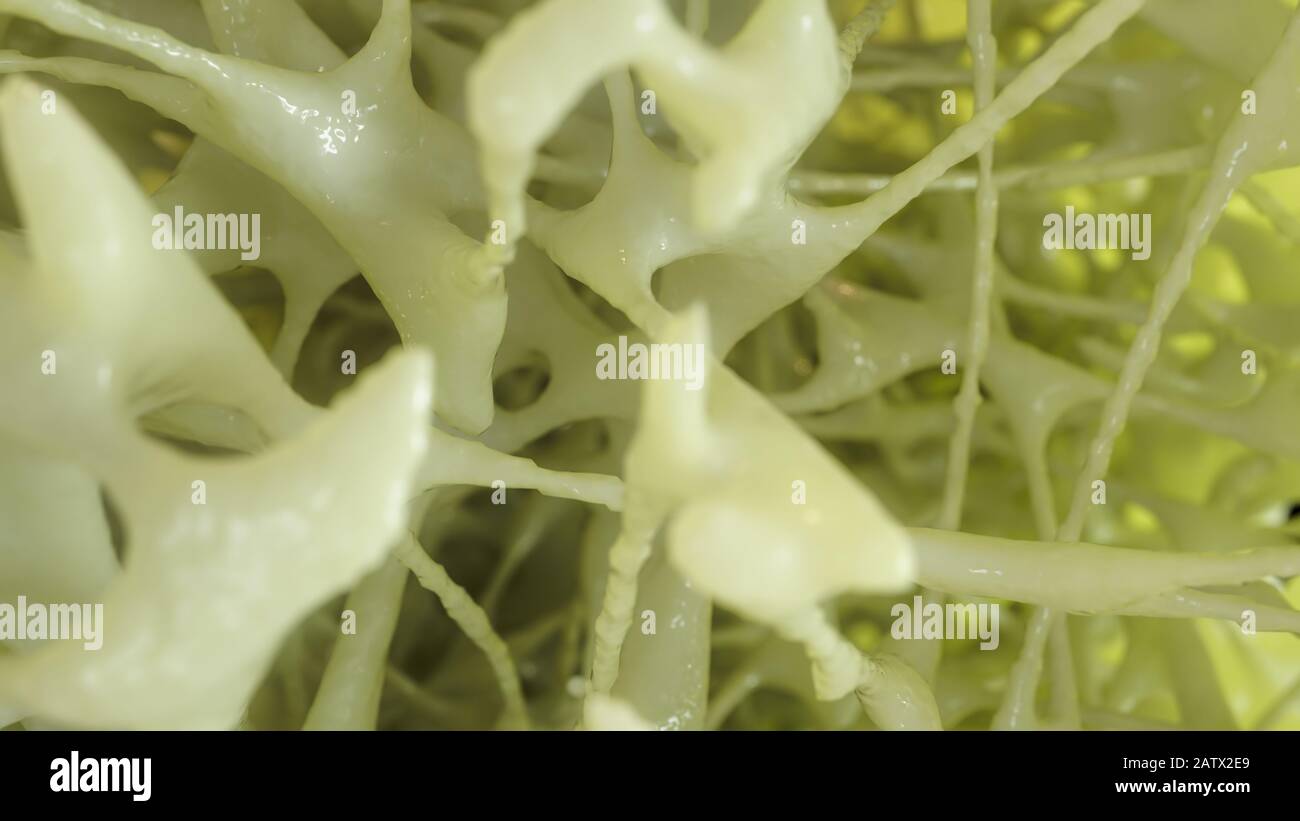 Bone affected with osteoporosis - cross section - 3D rendering Stock ...