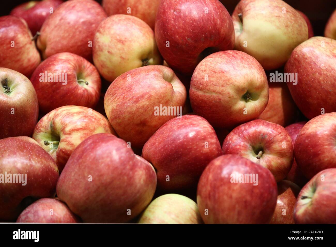 what fruits and vegetables are imported from other countries