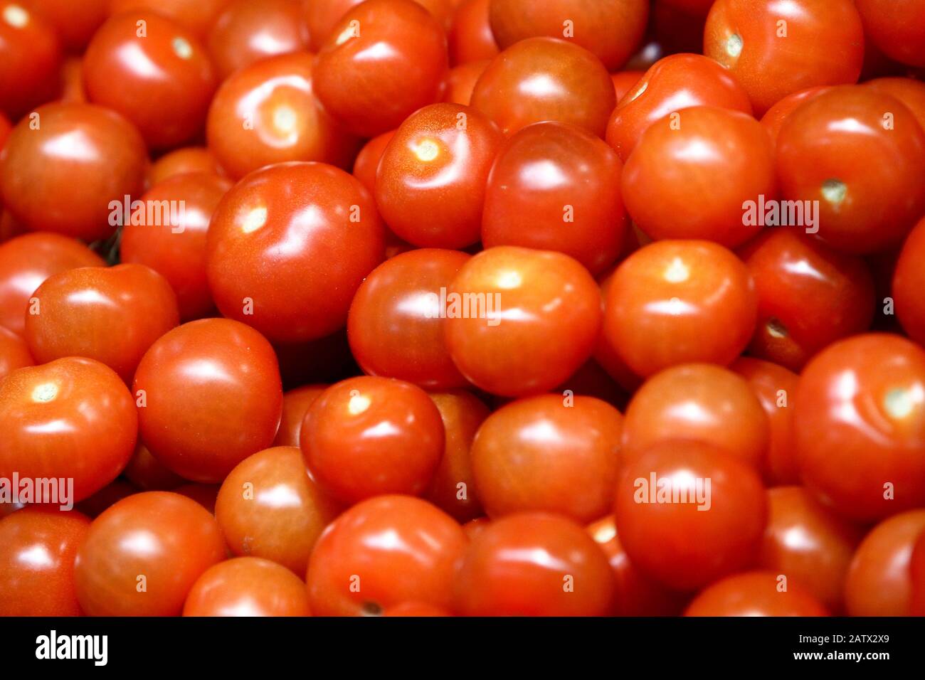 what fruits and vegetables are imported from other countries