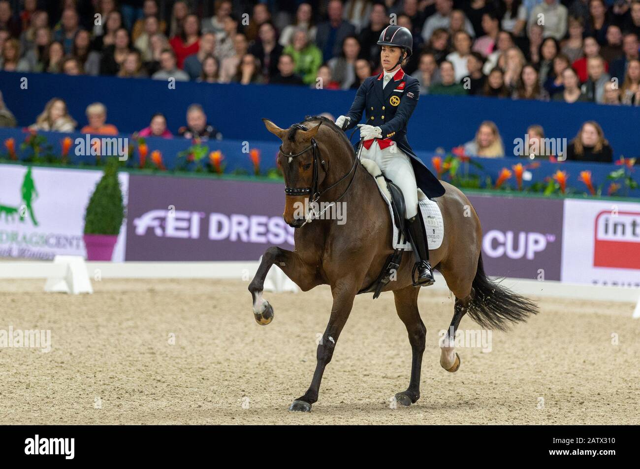 Charlotte Dujardin Of Great Britan Riding Mount St John Freestyle At Grand Prix Freestyle Presented By Vriendenloerij Jumping Amsterdam On January 25 2020 In Amsterdam Photo By Thomas Reiner Espa Images Stock Photo