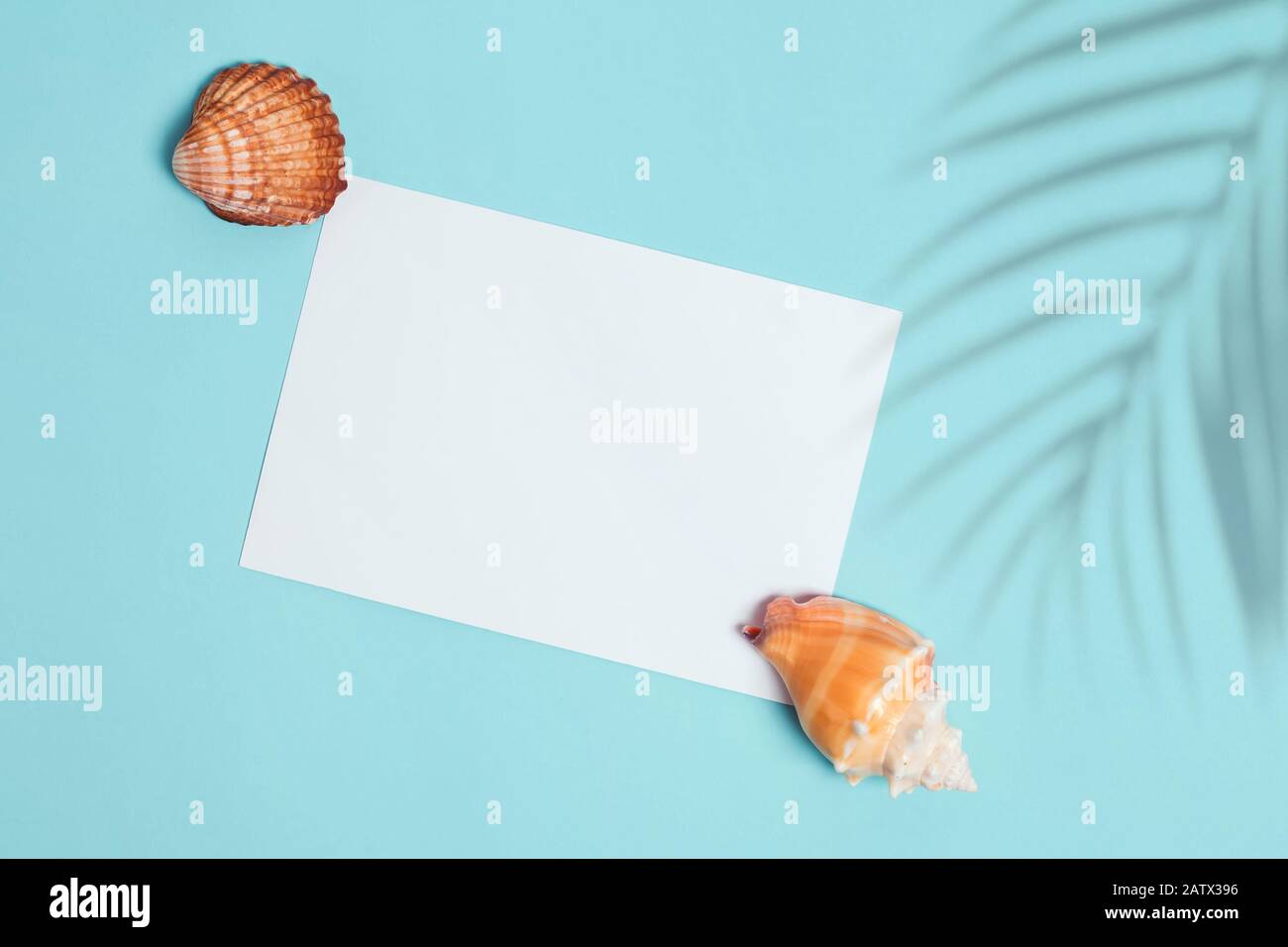 Seashells and palm shadow on blue background, top view. Summer vacation planning. Flat lay with empty paper, place for text Stock Photo