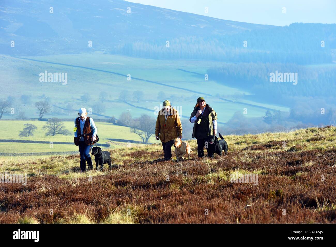 Gun dogs training session Barden Moor Yorkshire Dales UK three woman