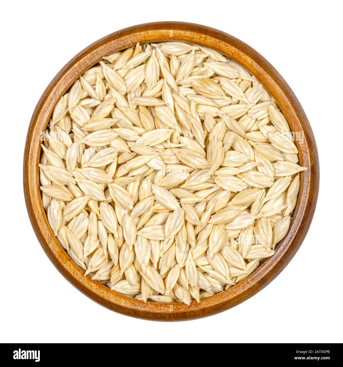 Spelt grains, seeds with outer husk in wooden bowl. Dinkel or hulled wheat, Triticum dicoccum. Cereal grain. European relict crop, used as health food Stock Photo