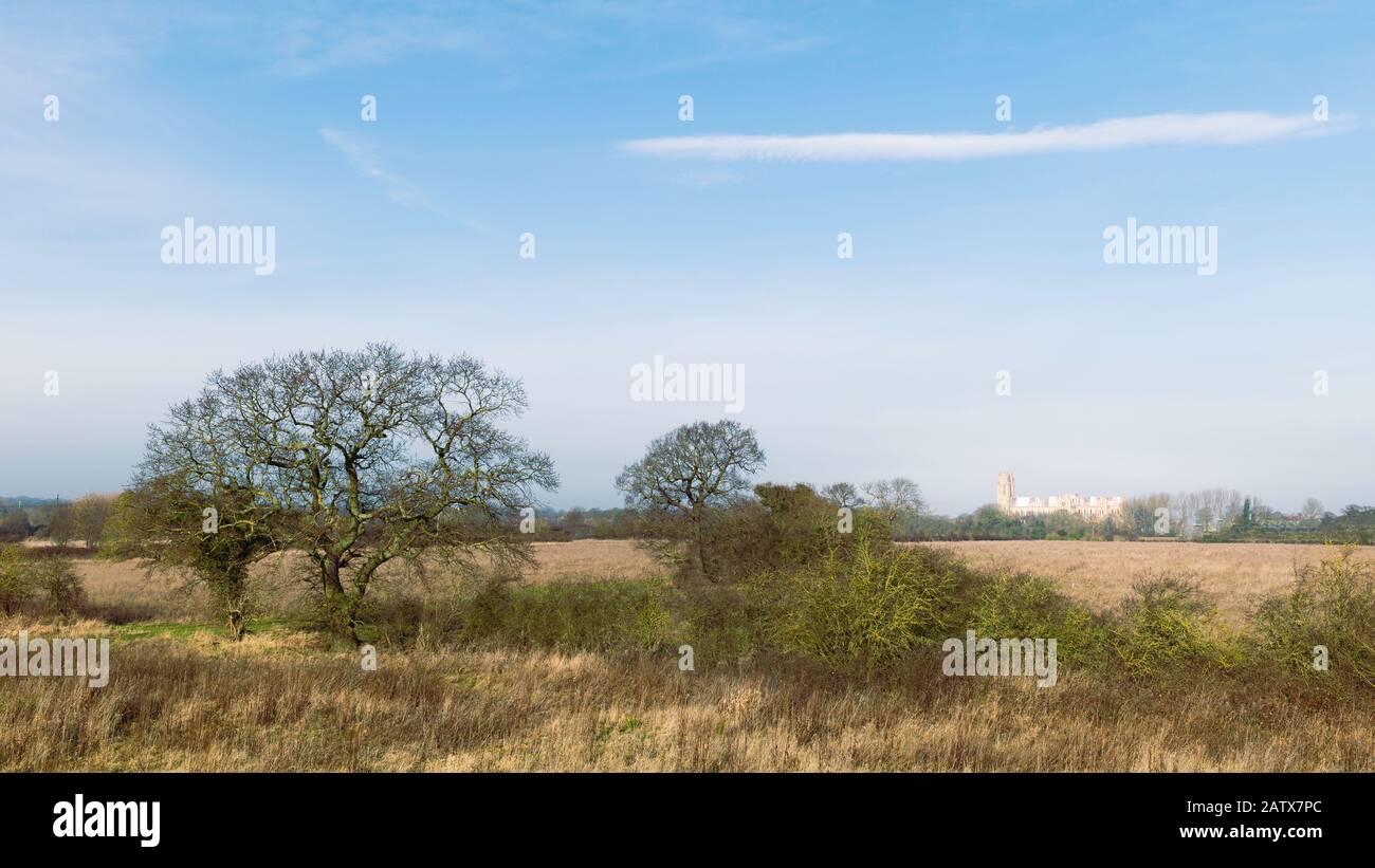 Fallow land with tall grasses with trees and fields with ancient minster on horizon on a bright, clear day in winter near Beverley, Yorkshire, UK. Stock Photo