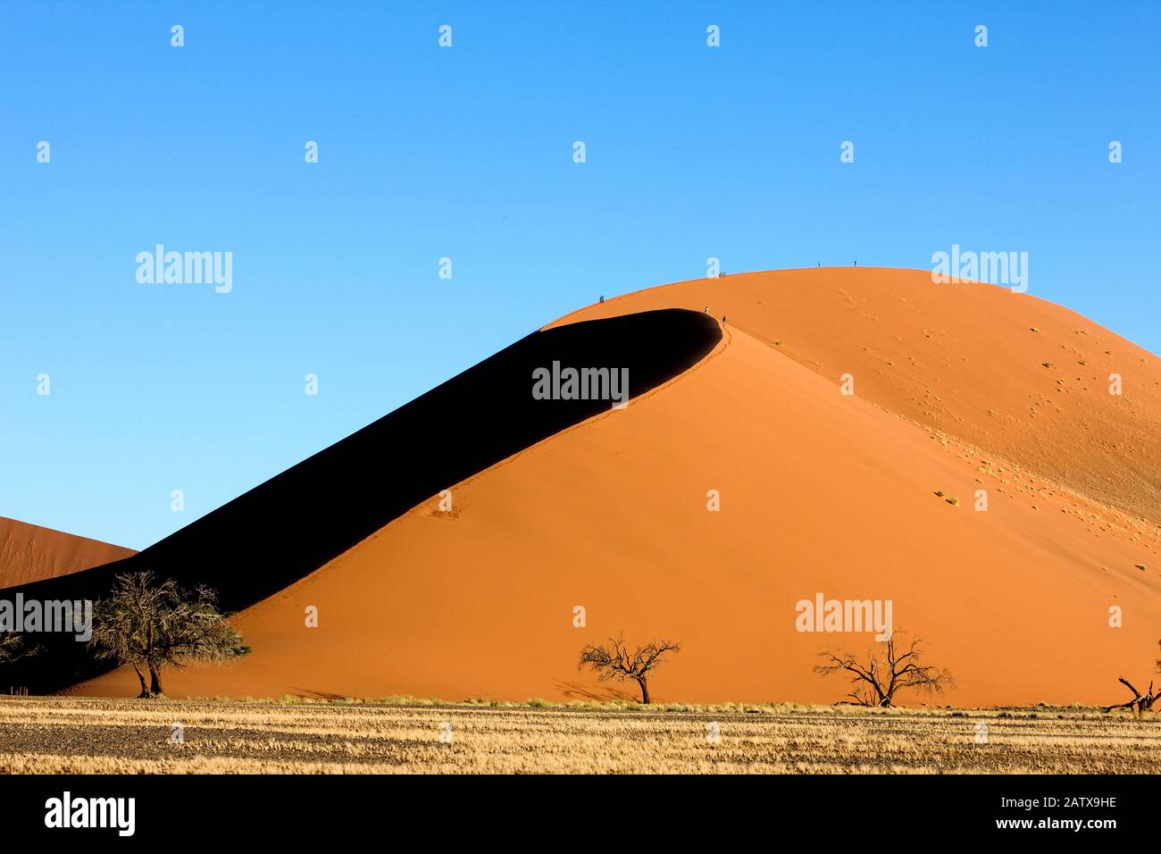 Namib Desert, Namib Naukluft Park, Sossusvlei Dunes, Dune 45, Namibia ...