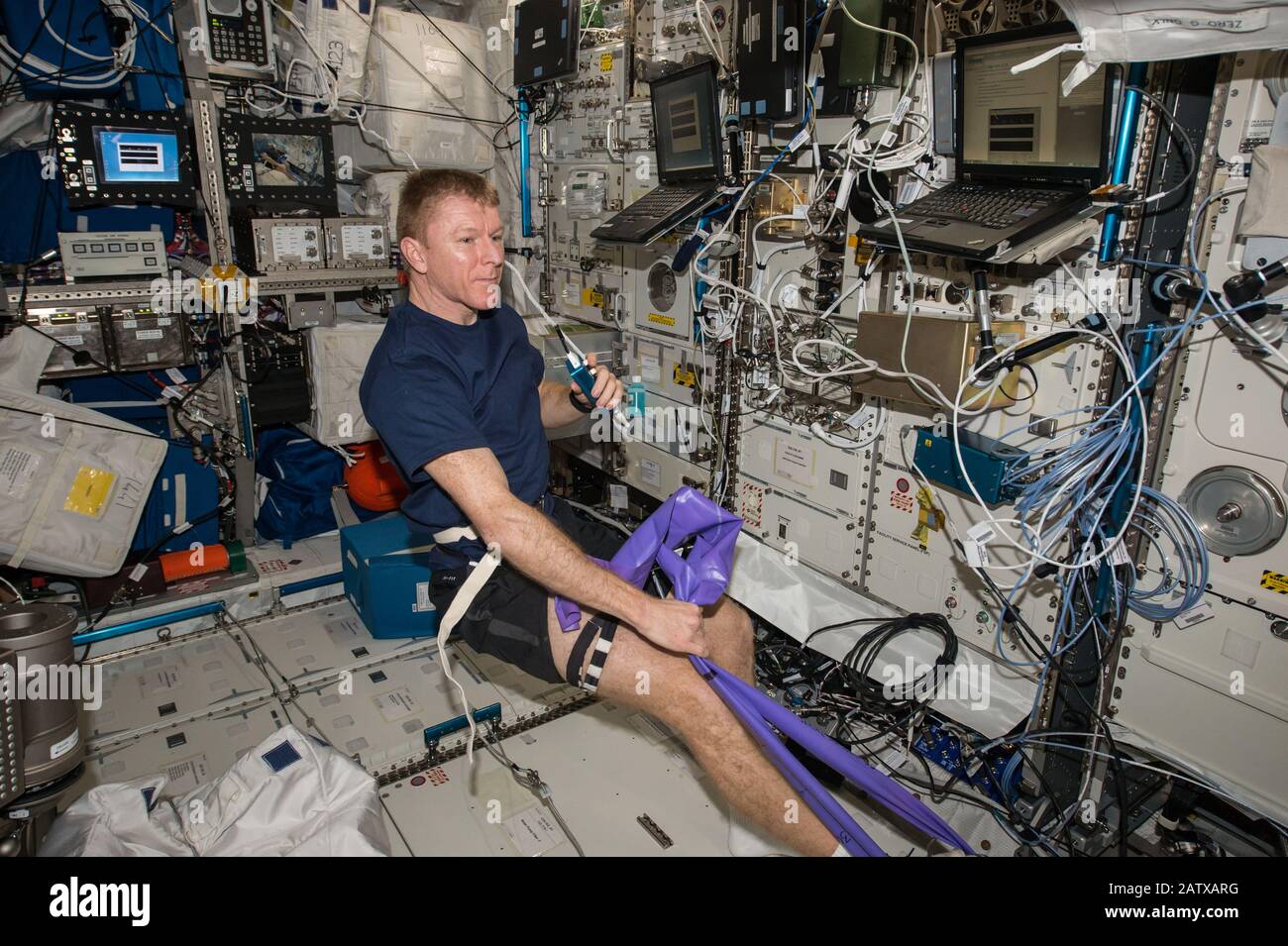 ISS - 30 May 2016 - ESA (European Space Agency) astronaut Tim Peake uses hardware for the Vascular Echo experiment. As humans get older on Earth, arte Stock Photo