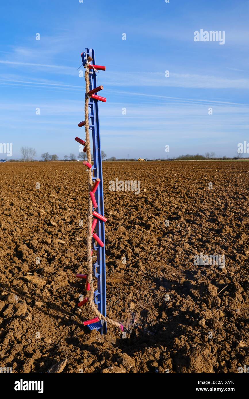 Bird scaring pyrotechnic bangers on a slow burning rope protecting freshly planted winter wheat crop from pigeon damage Stock Photo