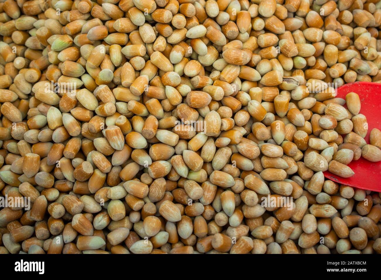 Ripe unshelled hazelnuts  as nut  background in view Stock Photo