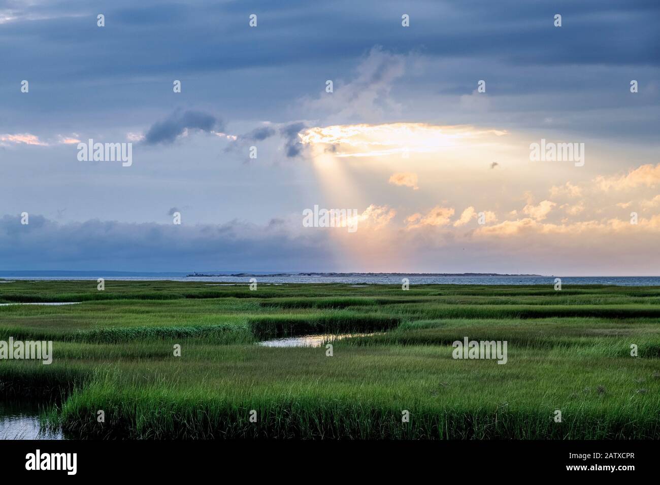 Grays Beach salt marsh wetlands Stock Photo